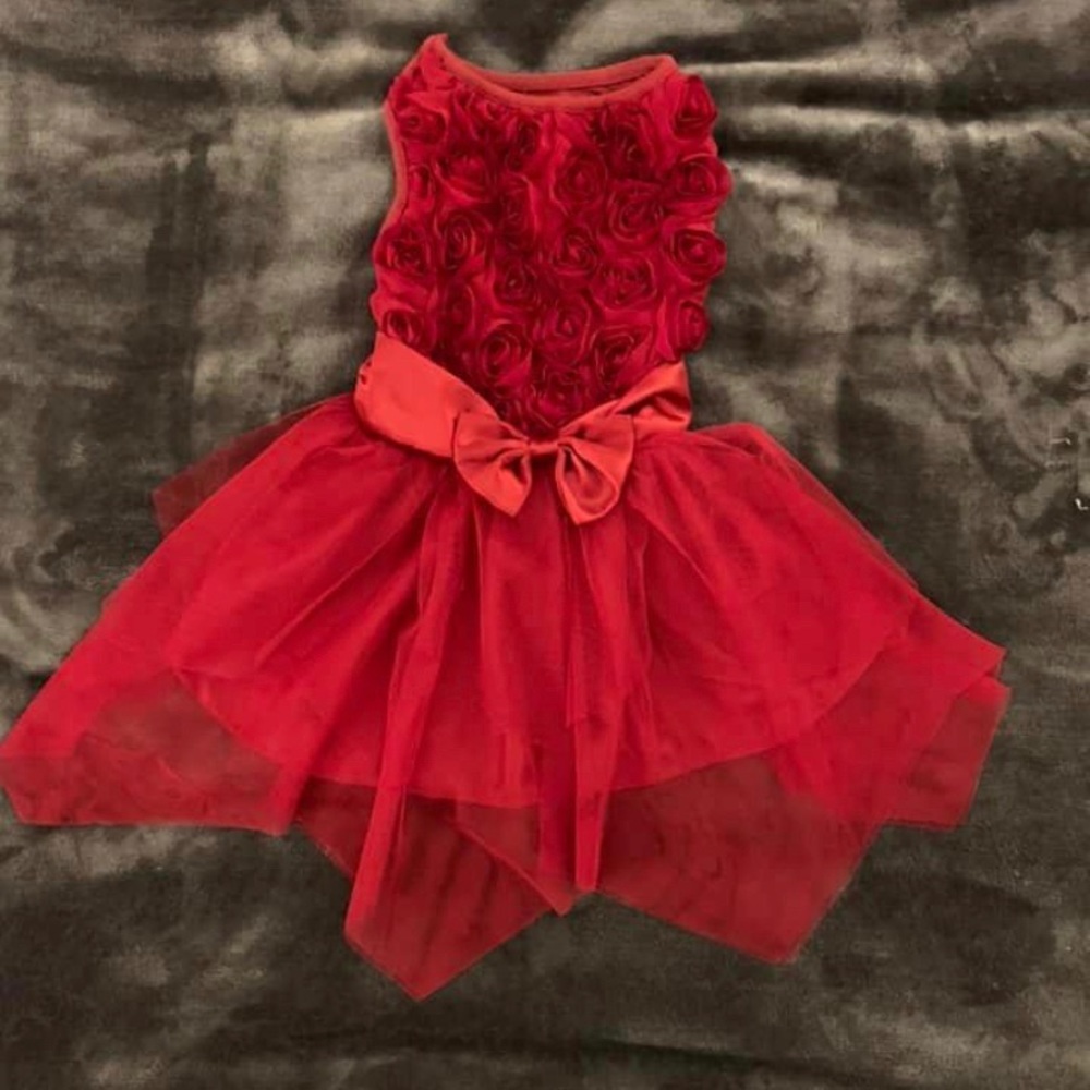 Fancy Dog Dress with Tulle and Rosettes